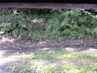 長野県菅平高原 ゆたか山荘 南側 2025/08/24 07:30