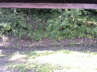 長野県菅平高原 ゆたか山荘 南側 2025/08/24 07:45