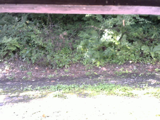 長野県菅平高原 ゆたか山荘 南側 2025/08/24 08:00