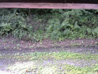 長野県菅平高原 ゆたか山荘 南側 2025/08/24 08:30