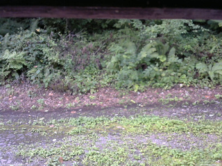 長野県菅平高原 ゆたか山荘 南側 2025/08/24 09:00