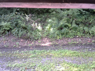 長野県菅平高原 ゆたか山荘 南側 2025/08/24 09:15