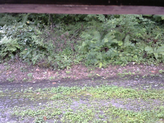 長野県菅平高原 ゆたか山荘 南側 2025/08/24 09:45