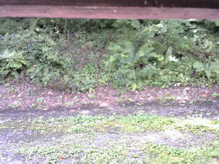 長野県菅平高原 ゆたか山荘 南側 2025/08/24 10:15