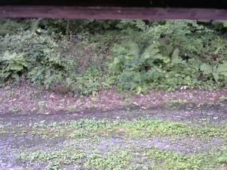 長野県菅平高原 ゆたか山荘 南側 2025/08/24 10:30