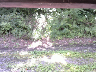 長野県菅平高原 ゆたか山荘 南側 2025/08/24 10:45