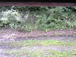 長野県菅平高原 ゆたか山荘 南側 2025/08/24 11:15