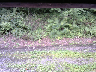 長野県菅平高原 ゆたか山荘 南側 2025/08/24 11:45