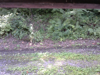 長野県菅平高原 ゆたか山荘 南側 2025/08/24 12:00