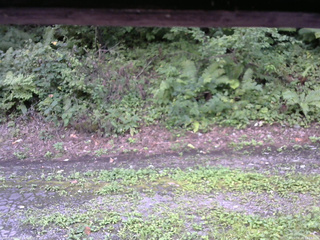 長野県菅平高原 ゆたか山荘 南側 2025/08/24 12:15