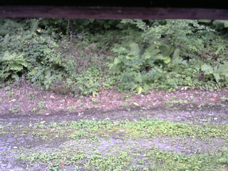 長野県菅平高原 ゆたか山荘 南側 2025/08/24 12:30