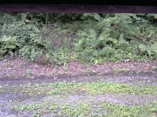 長野県菅平高原 ゆたか山荘 南側 2025/08/24 12:45