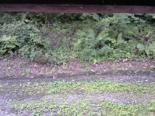 長野県菅平高原 ゆたか山荘 南側 2025/08/24 13:00