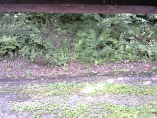 長野県菅平高原 ゆたか山荘 南側 2025/08/24 13:15