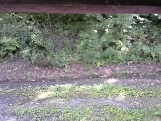 長野県菅平高原 ゆたか山荘 南側 2025/08/24 13:30