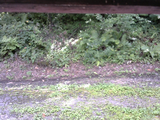 長野県菅平高原 ゆたか山荘 南側 2025/08/24 13:45