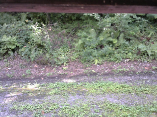 長野県菅平高原 ゆたか山荘 南側 2025/08/24 14:00