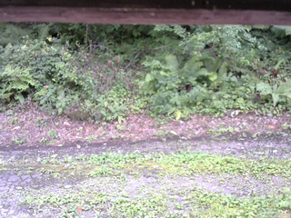 長野県菅平高原 ゆたか山荘 南側 2025/08/24 14:15