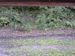 長野県菅平高原 ゆたか山荘 南側 2025/08/24 14:30