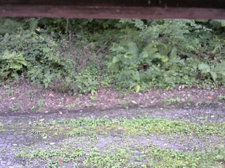 長野県菅平高原 ゆたか山荘 南側 2025/08/24 14:45