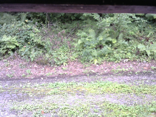 長野県菅平高原 ゆたか山荘 南側 2025/08/24 15:00