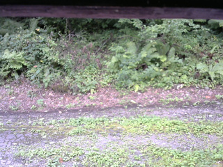 長野県菅平高原 ゆたか山荘 南側 2025/08/24 15:15