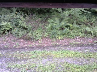 長野県菅平高原 ゆたか山荘 南側 2025/08/24 15:30