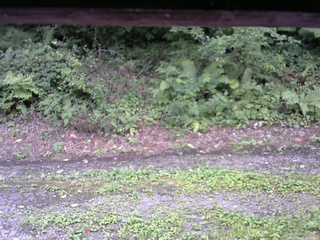 長野県菅平高原 ゆたか山荘 南側 2025/08/24 16:00