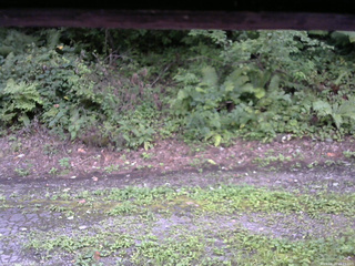 長野県菅平高原 ゆたか山荘 南側 2025/08/24 16:15