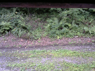 長野県菅平高原 ゆたか山荘 南側 2025/08/24 17:45