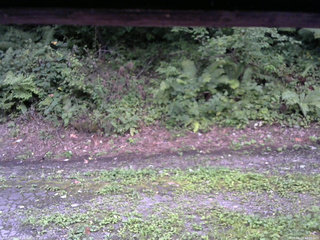 長野県菅平高原 ゆたか山荘 南側 2025/08/24 18:00