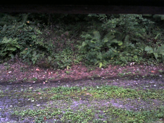 長野県菅平高原 ゆたか山荘 南側 2025/08/24 18:30