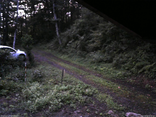 長野県菅平高原 ゆたか山荘 東側(坂下) 2025/08/24 05:00