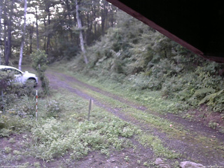 長野県菅平高原 ゆたか山荘 東側(坂下) 2025/08/24 05:30