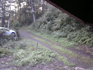 長野県菅平高原 ゆたか山荘 東側(坂下) 2025/08/24 05:45