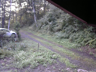 長野県菅平高原 ゆたか山荘 東側(坂下) 2025/08/24 06:00