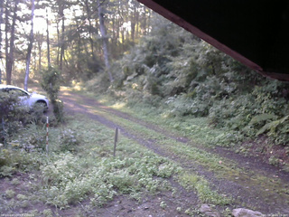 長野県菅平高原 ゆたか山荘 東側(坂下) 2025/08/24 06:15