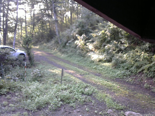 長野県菅平高原 ゆたか山荘 東側(坂下) 2025/08/24 06:30