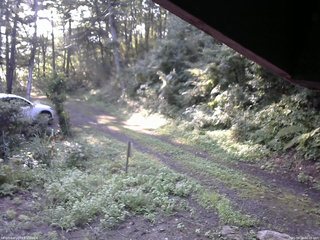 長野県菅平高原 ゆたか山荘 東側(坂下) 2025/08/24 06:45
