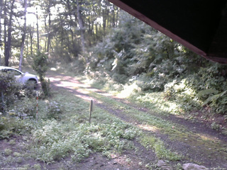 長野県菅平高原 ゆたか山荘 東側(坂下) 2025/08/24 07:00