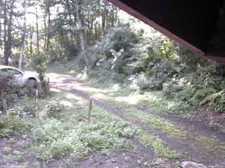 長野県菅平高原 ゆたか山荘 東側(坂下) 2025/08/24 07:15