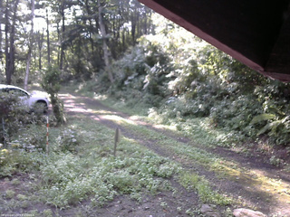 長野県菅平高原 ゆたか山荘 東側(坂下) 2025/08/24 07:30