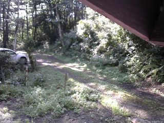 長野県菅平高原 ゆたか山荘 東側(坂下) 2025/08/24 07:45