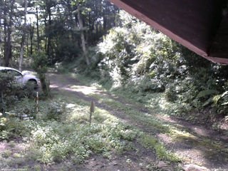 長野県菅平高原 ゆたか山荘 東側(坂下) 2025/08/24 08:00