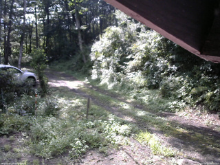 長野県菅平高原 ゆたか山荘 東側(坂下) 2025/08/24 08:15