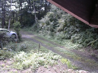 長野県菅平高原 ゆたか山荘 東側(坂下) 2025/08/24 08:30