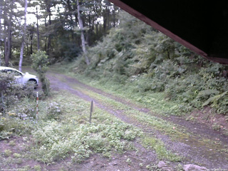 長野県菅平高原 ゆたか山荘 東側(坂下) 2025/08/24 08:45