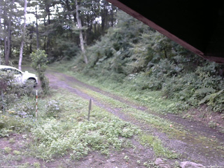長野県菅平高原 ゆたか山荘 東側(坂下) 2025/08/24 09:00