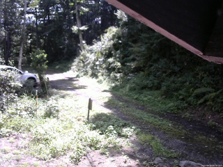 長野県菅平高原 ゆたか山荘 東側(坂下) 2025/08/24 09:30