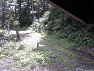 長野県菅平高原 ゆたか山荘 東側(坂下) 2025/08/24 09:45